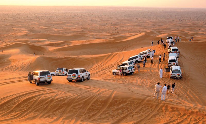 Morning Desert Safari Tour